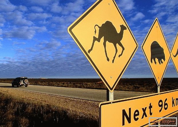 Australijski putni znak upozorava da različite životinje mogu trčati na put.