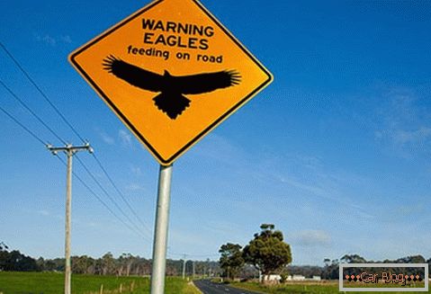 Upozorenje na mogućnost susreta orlova na putu